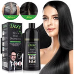 Shampoing Colorant Les Cheveux Noirs